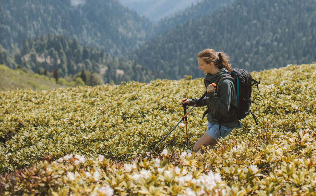 A woman hiking, representing the impact of design thinking training in the consulting industry.
